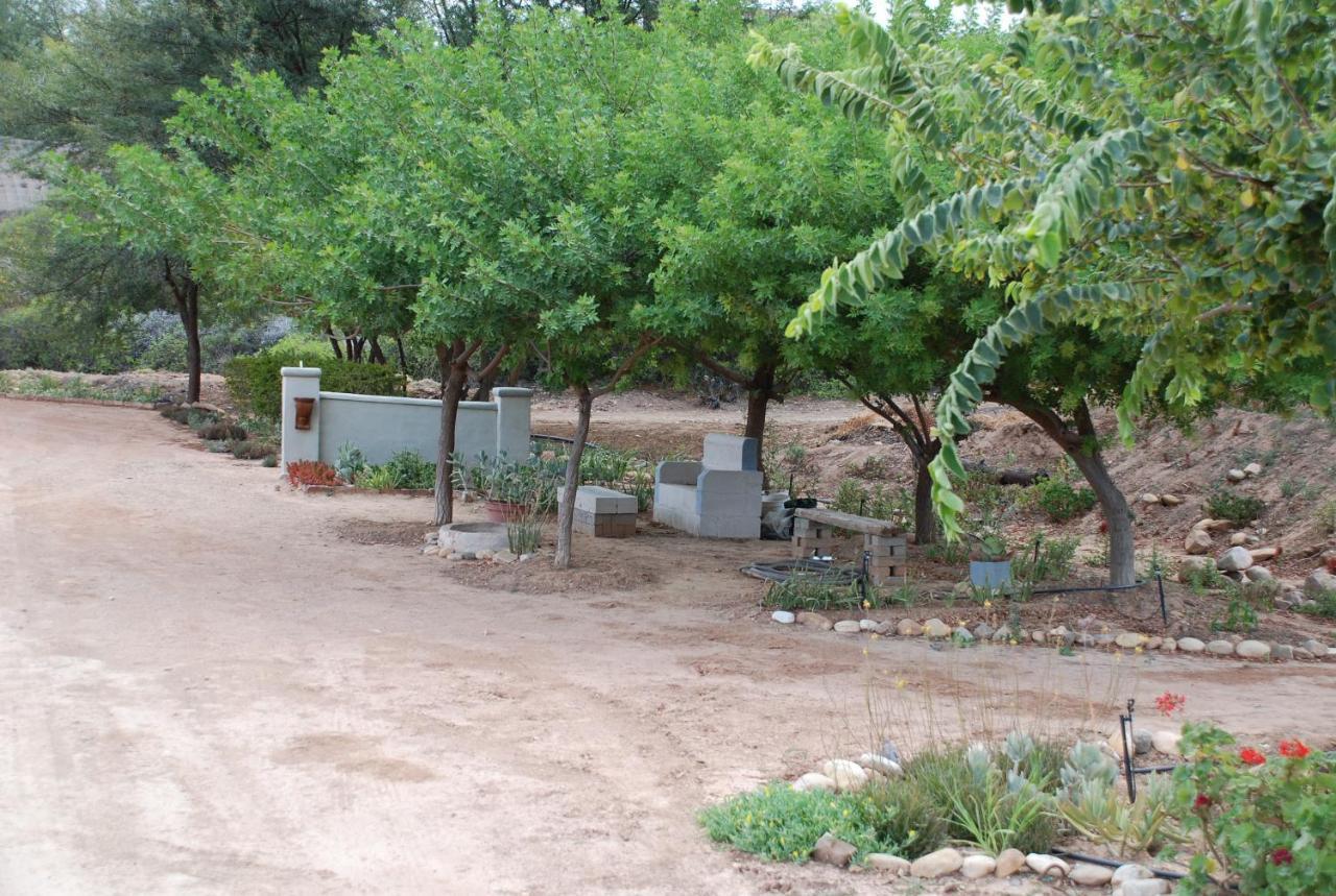 Gasteria Grange Konuk evi Calitzdorp Dış mekan fotoğraf