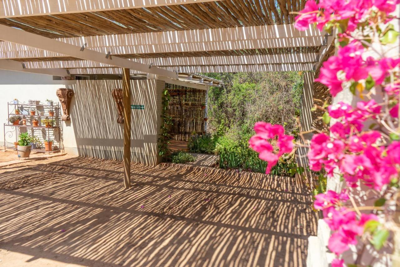 Gasteria Grange Konuk evi Calitzdorp Dış mekan fotoğraf
